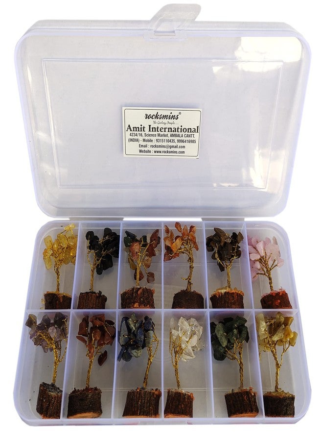 Rocksmins Baby Money Tree Set of 12 Natural Small Size Stone Mini Crystal Trees with Different Gemstones for Good Luck Office and Home Decore Wealth Vastu Prosperity Decoration Original Gemstone - Image 1